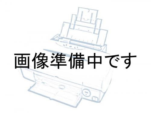 IPSiO GX 3000 RICOH A3ジェルジェットプリンタ